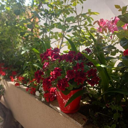 Apartments Gazi Ulcinj Exterior foto